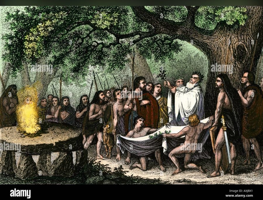Druidische Mistelernte – historische Illustration